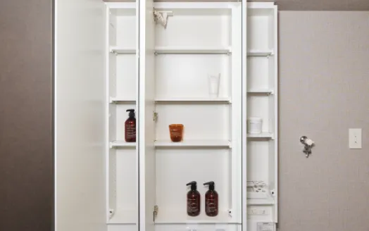 ミラー裏全面収納