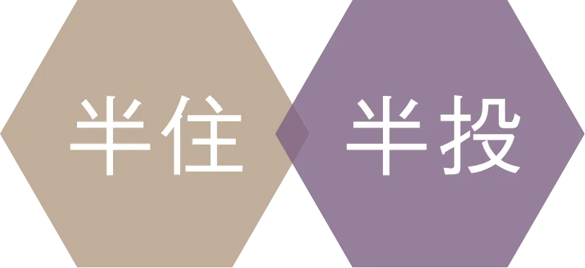 半住半投